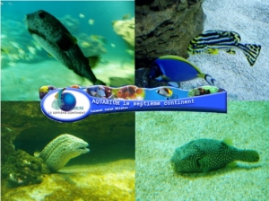 Activités- L'Aquarium le Septième Continent :
